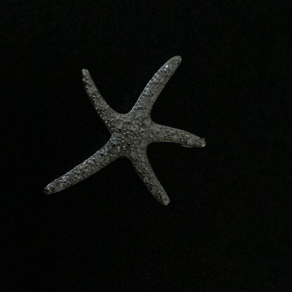Sparkly Star Fish Pendant